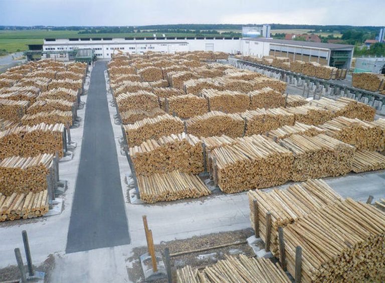 HS Timber respinge acuzațiile privind implicarea în posibile modificări ale Codului Silvic