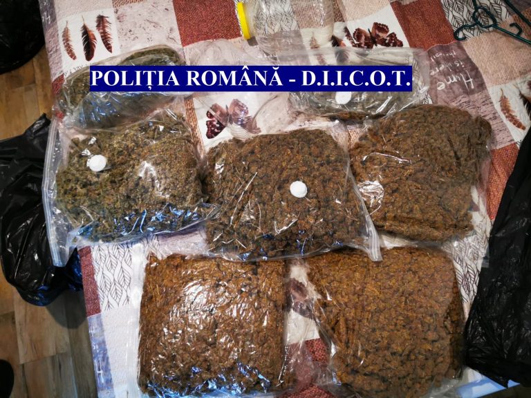 VIDEO FOTO Peste șase kilograme de cannabis și un pistol găsite de polițiști în urma unor percheziții (NAȚIONAL)