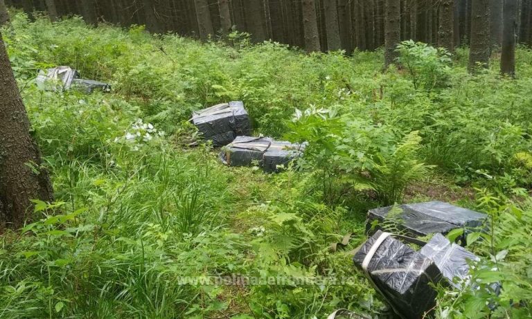 FOTO Țigări de contrabandă de aproape 150.000 de lei abandonate de contrabandiști la Costileva