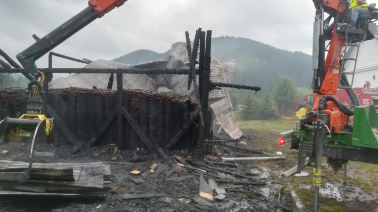 FOTO Canton silvic cuprins de incendiu pornit de la un cablu electric defect