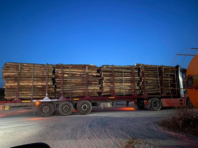 VIDEO Reprezentanții ISCTR au refuzat să meargă să cântărească un transport suspect de lemne aflat în parcarea privată a societăților Egger și HS Timber