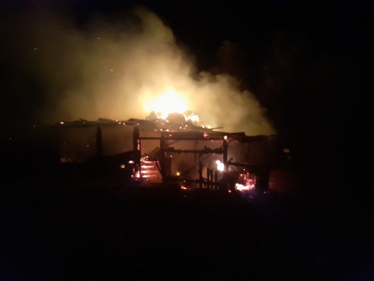 FOTO Animalele dintr-o gospodărie din Vicovu de Sus au murit într-un incendiu de proporții