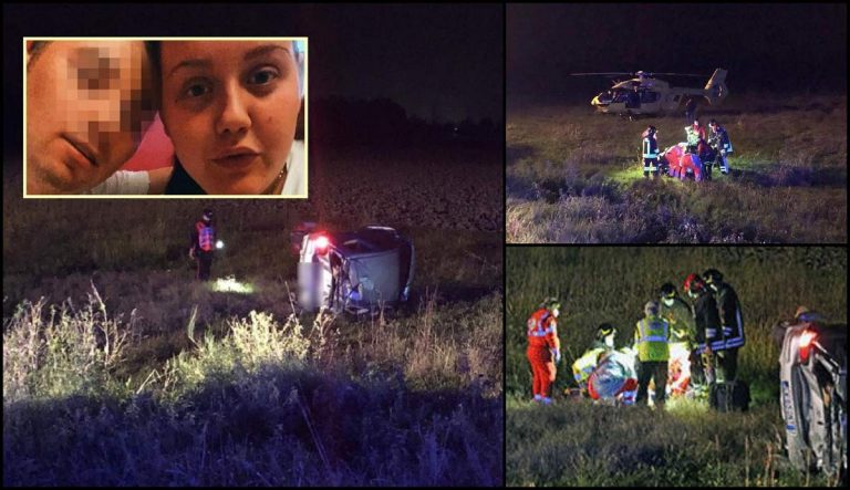 Român implicat într-un accident mortal produs din cauza unui porc mistreț (INTERNAȚIONAL)