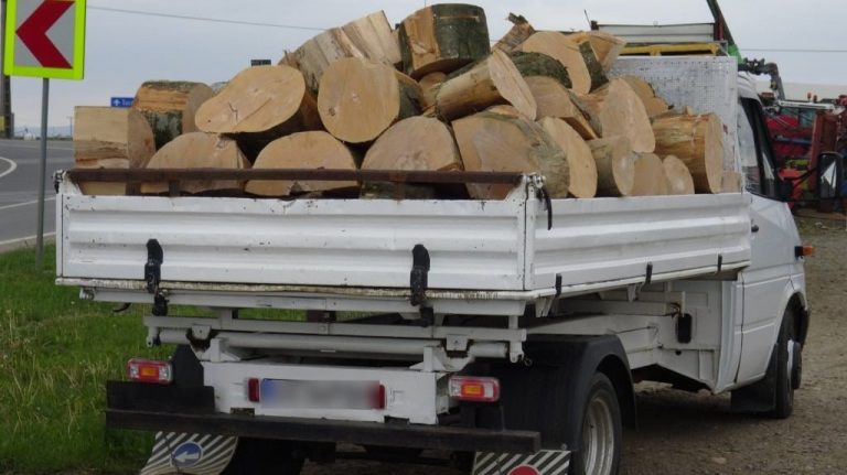 Transport ilegal de 2,5 mc de lemn depistat de polițiștii vicoveni
