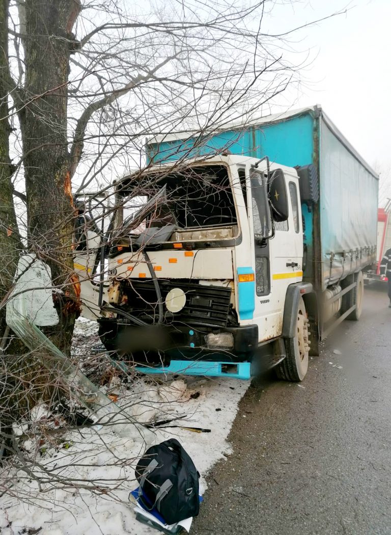 FOTO Un camion a intrat într-un copac, la Horodnic de Jos. O persoană a fost rănită