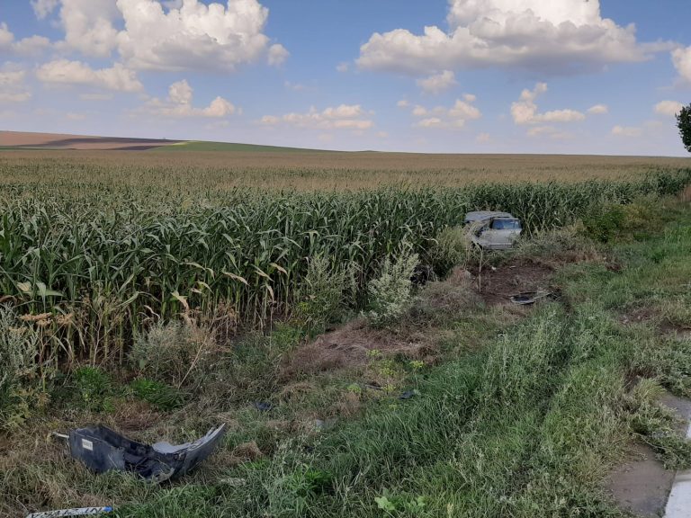 Un tânăr de 19 ani a ajuns cu mașina într-un lan de porumb, la Dărmănești