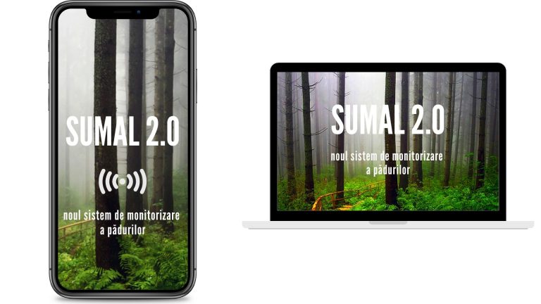 Ministrul Mediului a anunțat un nou sistem electronic de urmărire a lemnului: „SUMAL va fi lansat la 31 ianuarie” (POLITICĂ)