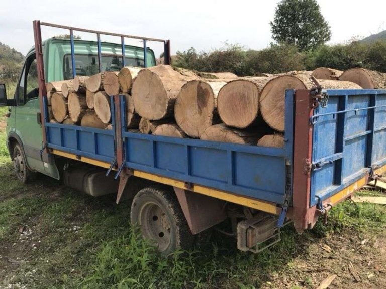 Lemne de foc încărcate mult peste datele din aviz într-un camion oprit de polițiști la Vadu Moldovei