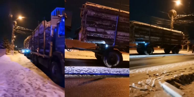Transport ilegal de 0,69 mc de lemne descoperit de polițiști din Vicovu de Sus cu ajutorul activistului de mediu Dănuț Ghinghiloschi, autorul gravului accident de circulație în care a fost implicat Daniel Bodnar
