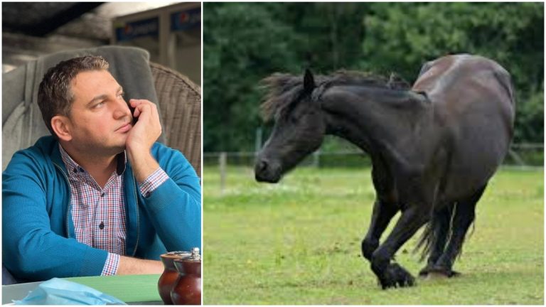 Un sucevean și-a pierdut viața după ce a căzut de pe cal la Herghelia Lucina