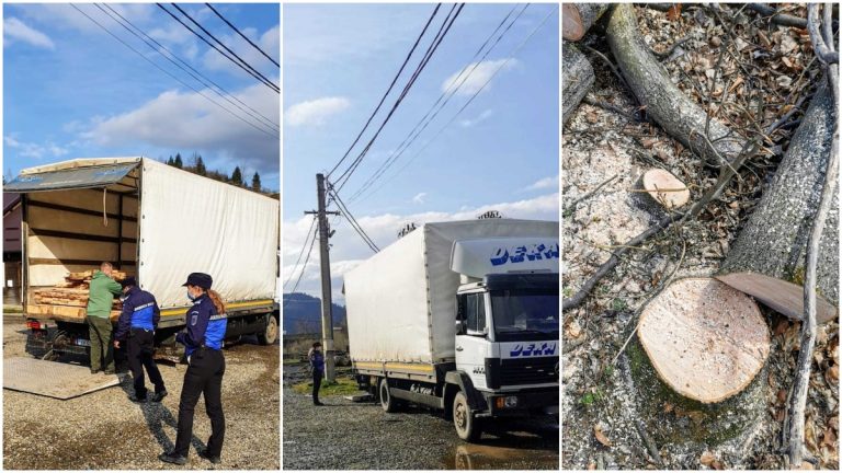 FOTO Transport ilegal de cherestea depistat de jandarmi, la Vama