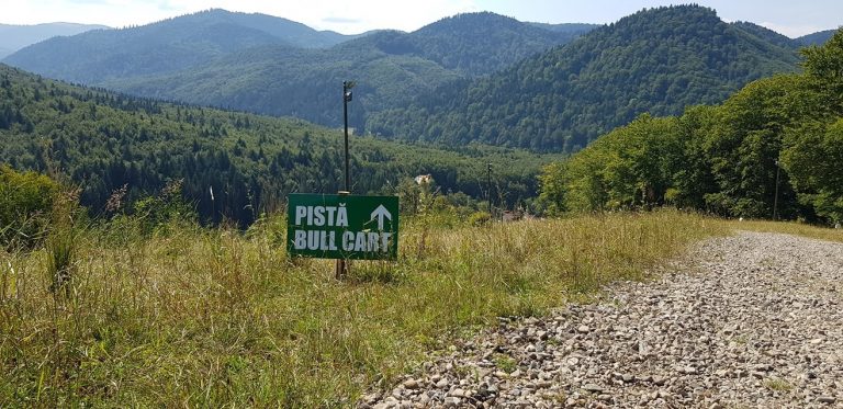 Stațiunea turistică de interes local Mălini devine un adevărat magnet de turiști: „Promitem tuturor celor care ne vor trece pragul că vor fi uimiți de frumusețile și autenticitatea locurilor”