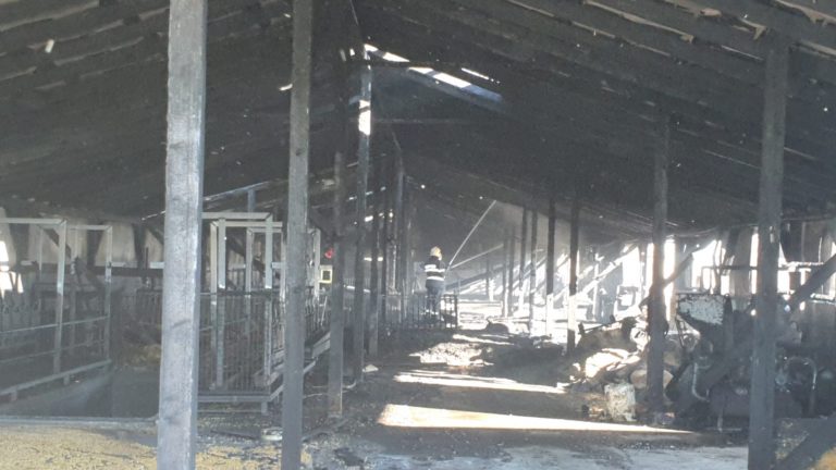 VIDEO Pagubă de peste 35.000 de euro produsă de incendiul ce a cuprins ferma primarului Neculai Miron de la Bosanci