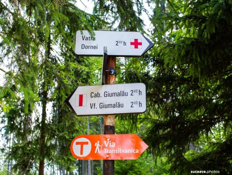 Vicepreședintele CJ Suceava, Niculai Barbă: „Vom revizui toate traseele turistice și vom interveni acolo unde este cazul pentru refacerea marcajelor”