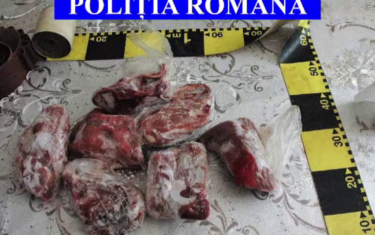 Două femei trebuie să dea socoteală polițiștilor după ce în mașina în care se deplasau au fost găsite circa 80 de kilograme de carne de porc mistreț