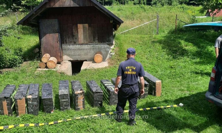 Țigări de contrabandă de peste 115.000 de lei găsite de polițiștii de frontieră în pivnița unui localnic din Straja