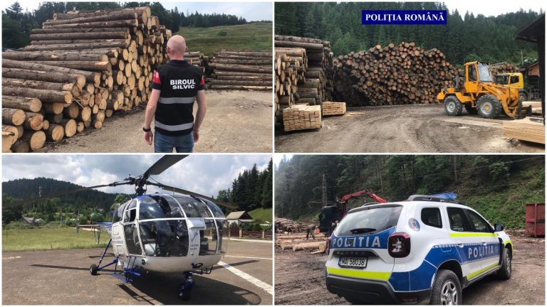 FOTO Peste 650 mc de lemne confiscați de polițiștii suceveni în urma unei ample acțiuni silvice