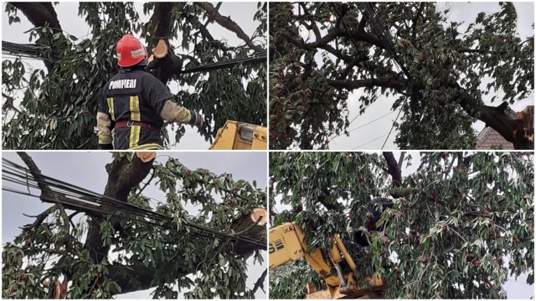 FOTO Pompierii au tăiat crengile unui cireș care riscau să întrerupă alimentarea cu curent electric pe o stradă din Vicovu de Sus