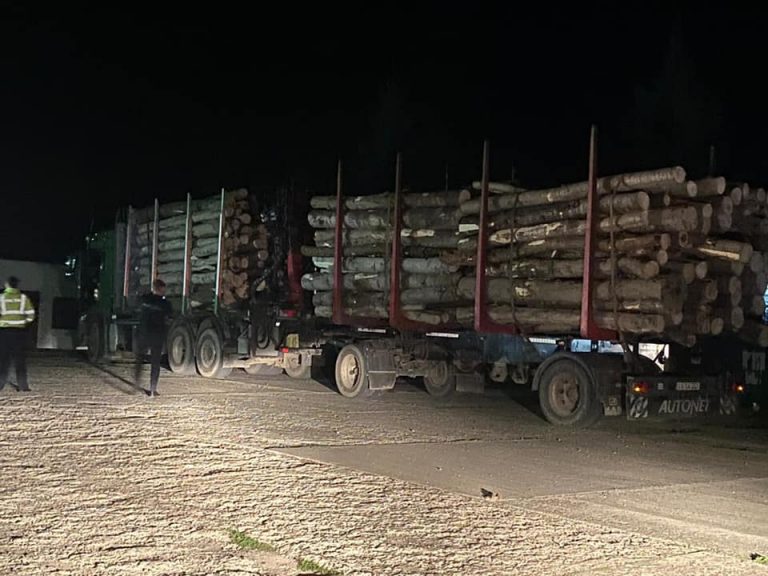 FOTO Transport ilegal de lemne depistat de activistul de mediu Daniel Bodnar