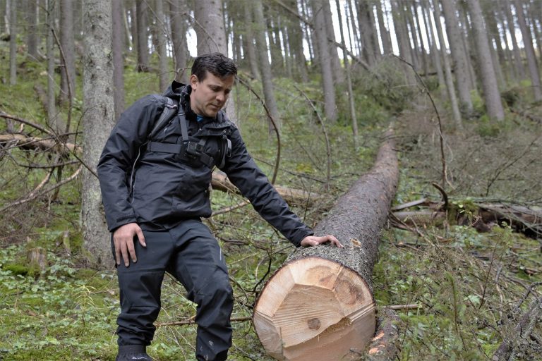 Nereguli descoperite de Alex Nedea în pădurea în care a fost bătut activistul de mediu Tiberiu Boșutar. Jurnalistul de la Recorder a venit în Bucovina să-i învețe meserie pe cei de la Garda Forestieră Suceava