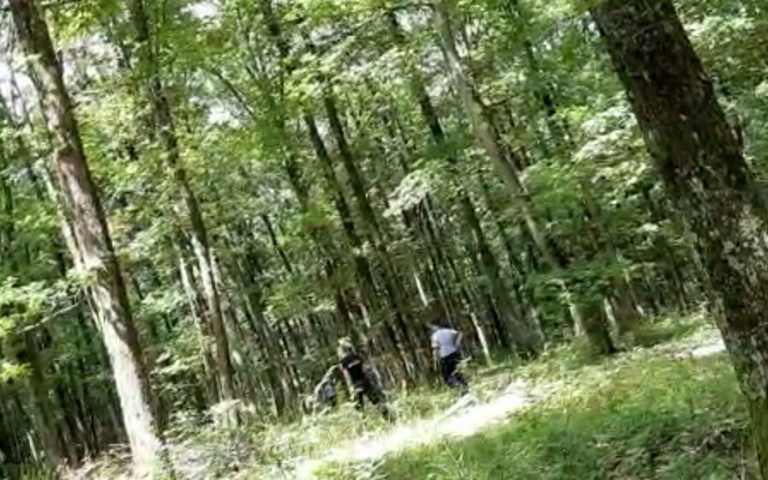 Cinci localnici din Vama au părăsit carantina pentru a merge la cules de bureți. Polițiștii le-au aplicat amenzi drastice