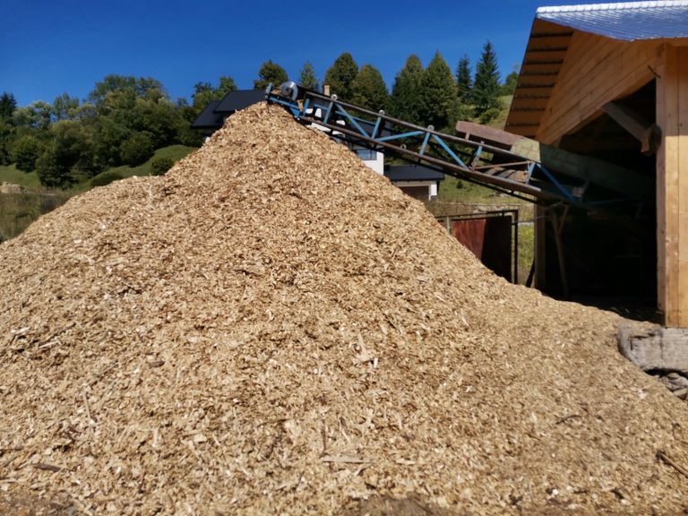 Nereguli descoperite de polițiști la un depozit de lemne din Vatra Dornei