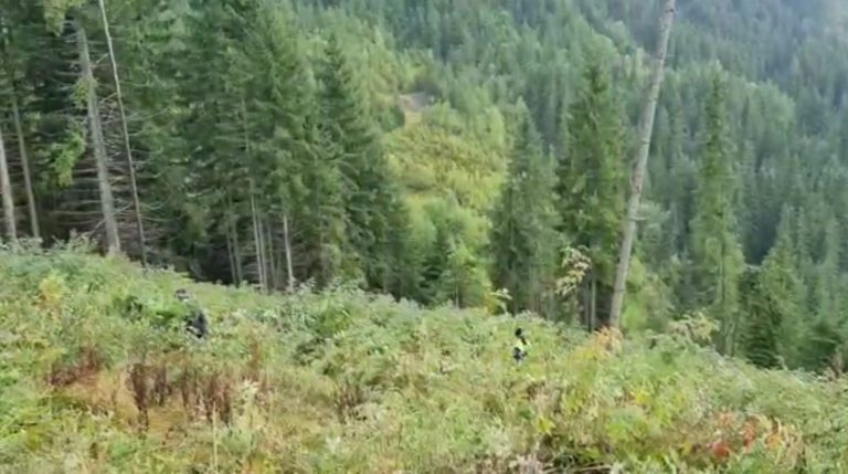 Garda Forestieră Suceava nu a găsit nereguli în pădurea în care au fost bătuți Tiberiu Boșutar și doi jurnaliști