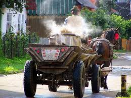Un căruțaș din Mălini a murit după ce a căzut din faeton