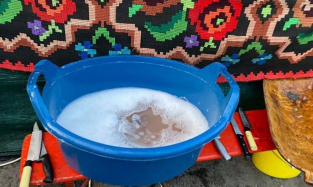 O fălticeneancă i-a furat un lighean fostei sale cumnate