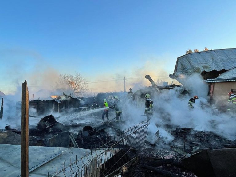 VIDEO FOTO Circa 300 de prepelițe au murit în cumplitul incendiu de la Ilișești