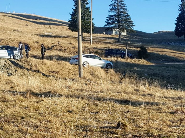 FOTO Jandarmii montani din Câmpulung Moldovenesc au amendat patru șoferi care și-au oprit mașinile pe o pajiște alpină din apropierea Vârfului Rarău