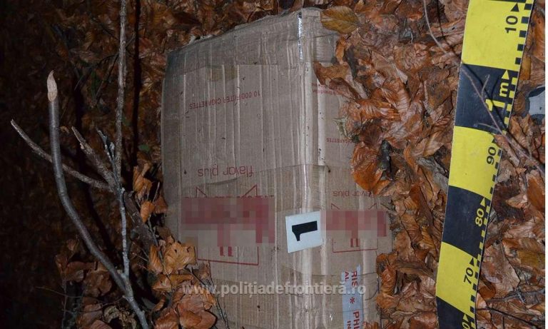 Un ucrainean care încerca să introducă țigări de contrabandă în țară a fost reținut de polițiștii de frontieră, la Ulma