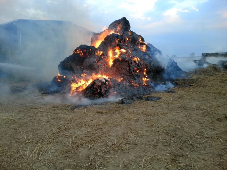 Tone de fân incendiate intenționat pe un câmp din Frasin