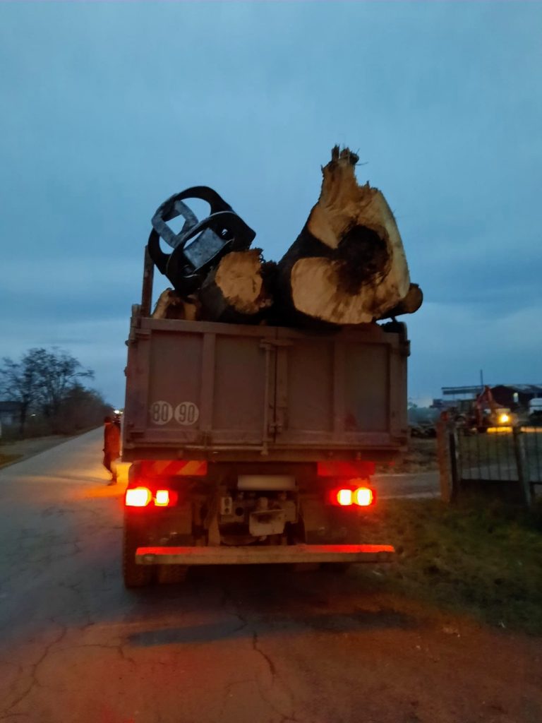 Ocol Silvic amendat de polițiștii suceveni care au oprit un transport de lemne neconform, la Șcheia
