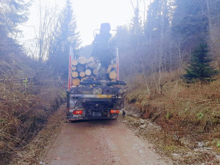 FOTO Transport ilegal de lemne depistat de jandarmi, la Fundu Moldovei