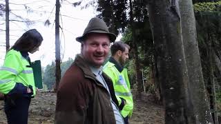 Închisoare cu suspendare pentru pădurarul Mircea Caunei, cel cu multe case