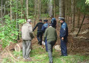 Doi rromi din Țîmpoceni care au bătut un pădurar și-au aflat pedepsele definitive