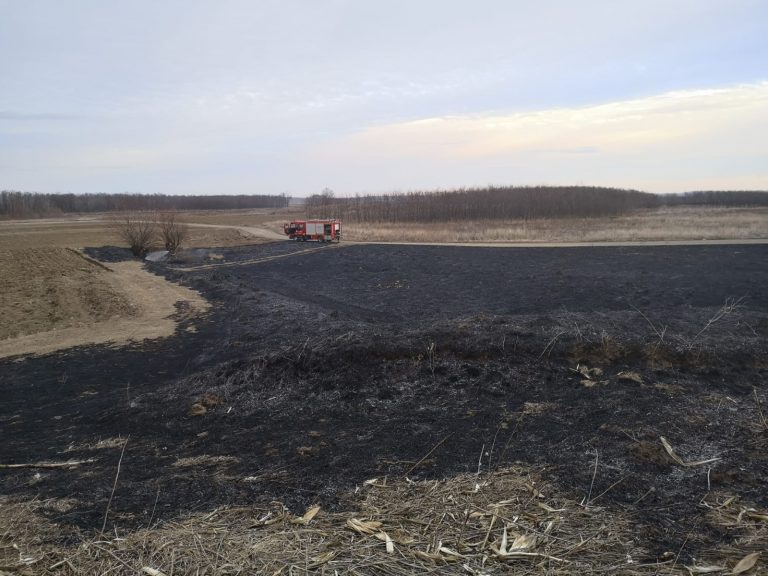 FOTO 15 hectare de vegetație uscată distruse de un incendiu, la Dumbrăveni