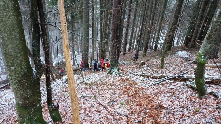 Un bătrân din Putna a fost găsit fără viață în pădure după ce a plecat să adune lemne