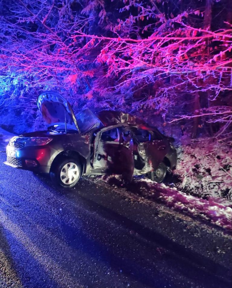 FOTO Accidentul din Pasul Palma a fost produs de un vicovean care s-a izbit cu mașina într-un copac