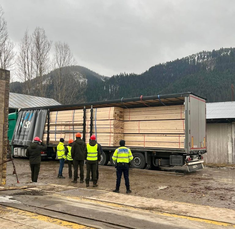 Trei transporturi ilegale de cherestea efectuate de șoferi din Frătăuții Noi au fost confiscate de polițiști la Siret, Calafindești și Bălcăuți