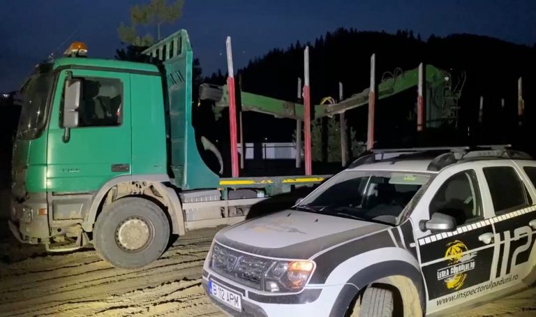 FOTO Patronul unui gater din Marginea a rămas fără un TIR cu remorcă, în valoare de 50.000 de euro, folosit la transportul ilegal de lemne, în baza aceluiași aviz