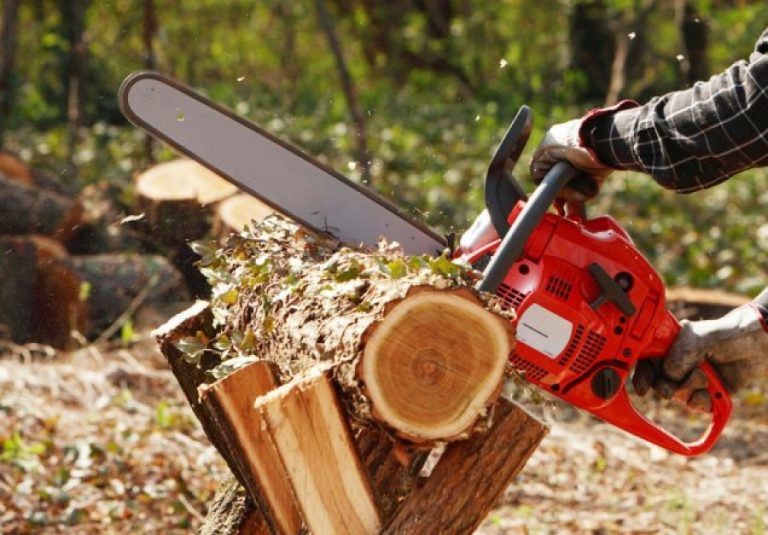 Un zilier din Câmpulung Moldovenesc este cercetat pentru furtul unei drujbe pe care a luat-o în contul unor datorii neachitate