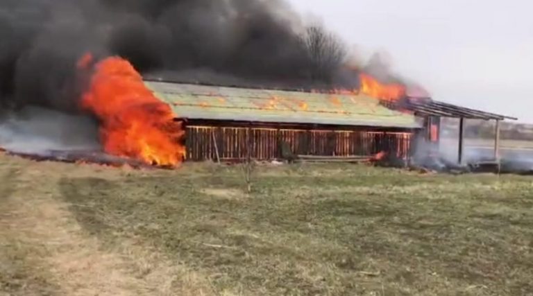 VIDEO O hală din Horodnic de Sus a luat foc de la incendiu de vegetație uscată