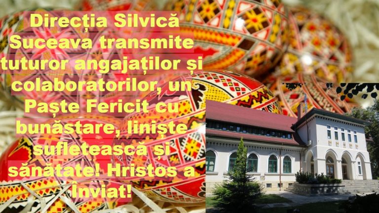 Direcția Silvică Suceava transmite tuturor angajaților și colaboratorilor, un Paște Fericit cu bunăstare, liniște sufletească și sănătate! Hristos a Înviat!