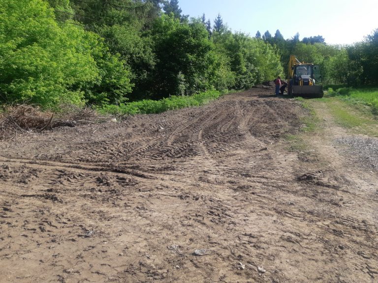 FOTO Intrarea în pădurea de lângă Liceul cu Program Sportiv Suceava, unde și-a făcut apariția o groapă de gunoi, a fost igienizată
