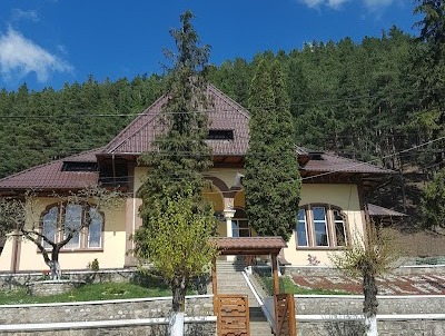 Primarul din Slatina a fost trimis în judecată după ce instituția pe care o conduce a achiziționat combustibil de la stația peco deținută de fratele edilului