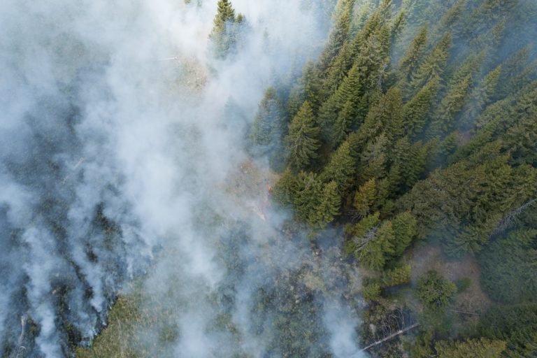 VIDEO FOTO Un incendiu puternic de vegetație a izbucnit în Parcul Național Călimani