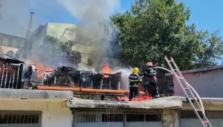 VIDEO 21 de găini au murit în incendiu izbucnit la mai multe anexe din municipiul Suceava de la o țigară