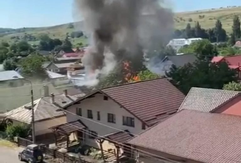 VIDEO 30 de stupi de albine și 6 tone de miere de albine au ars în incendiul de la Fălticeni